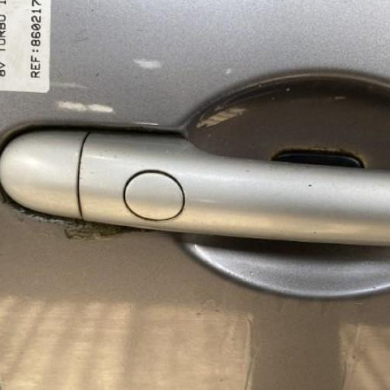 Porte avant droit RENAULT SCENIC 2 Photo n°3
