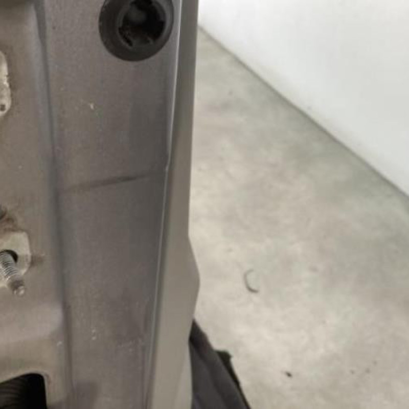Porte avant droit RENAULT SCENIC 2 Photo n°5