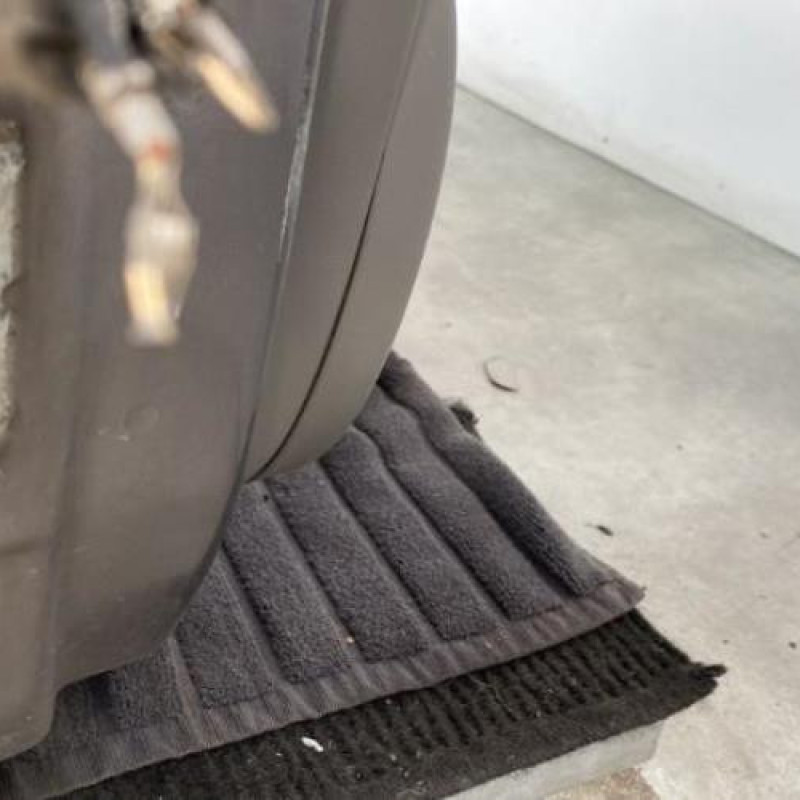 Porte avant droit RENAULT SCENIC 2 Photo n°6