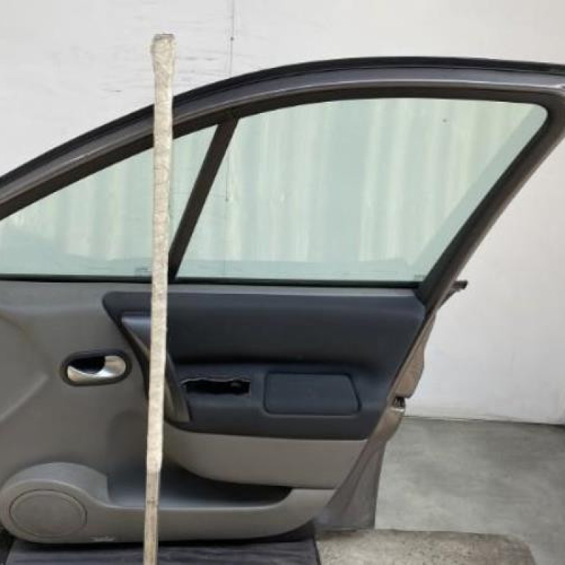 Porte avant droit RENAULT SCENIC 2 Photo n°7