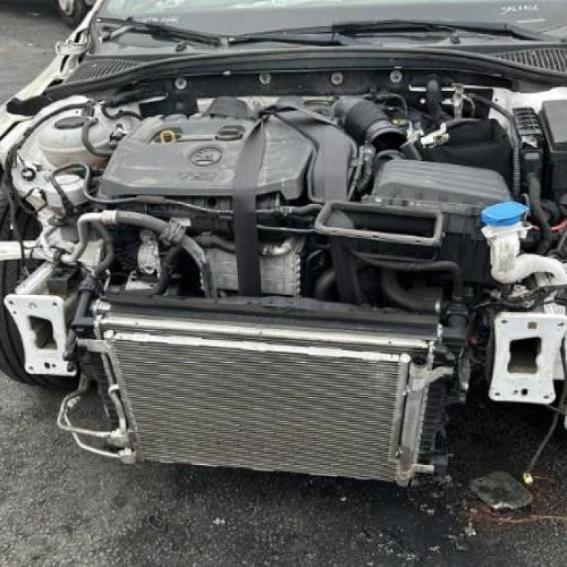 Bouton de warning SKODA OCTAVIA 3 Photo n°8