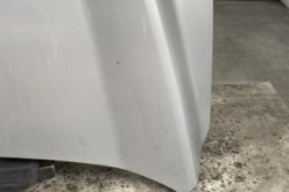 Capot FORD FOCUS 2