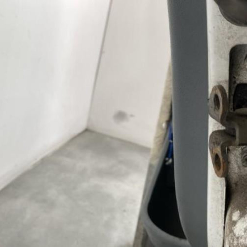 Porte avant gauche FORD TRANSIT 4 Photo n°6