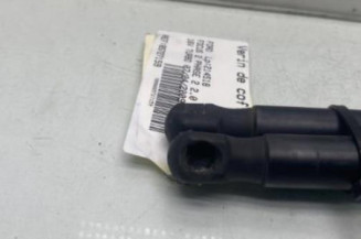 Verin de coffre FORD FOCUS 2