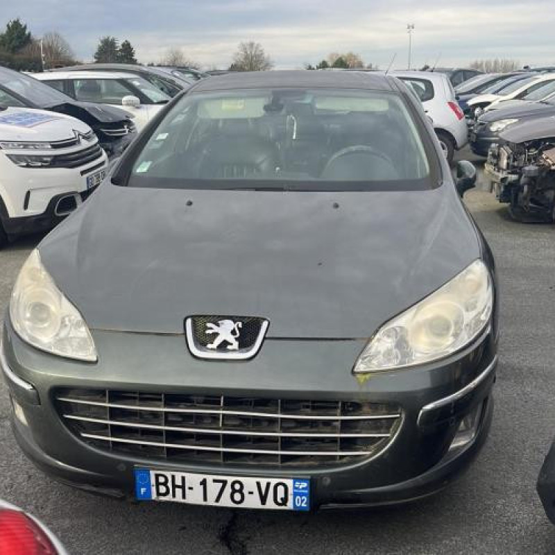 Porte arriere gauche PEUGEOT 407 Photo n°6