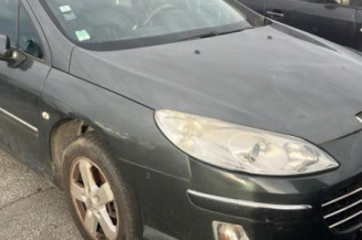 Porte arriere gauche PEUGEOT 407