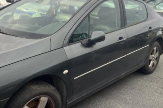 Porte arriere gauche PEUGEOT 407