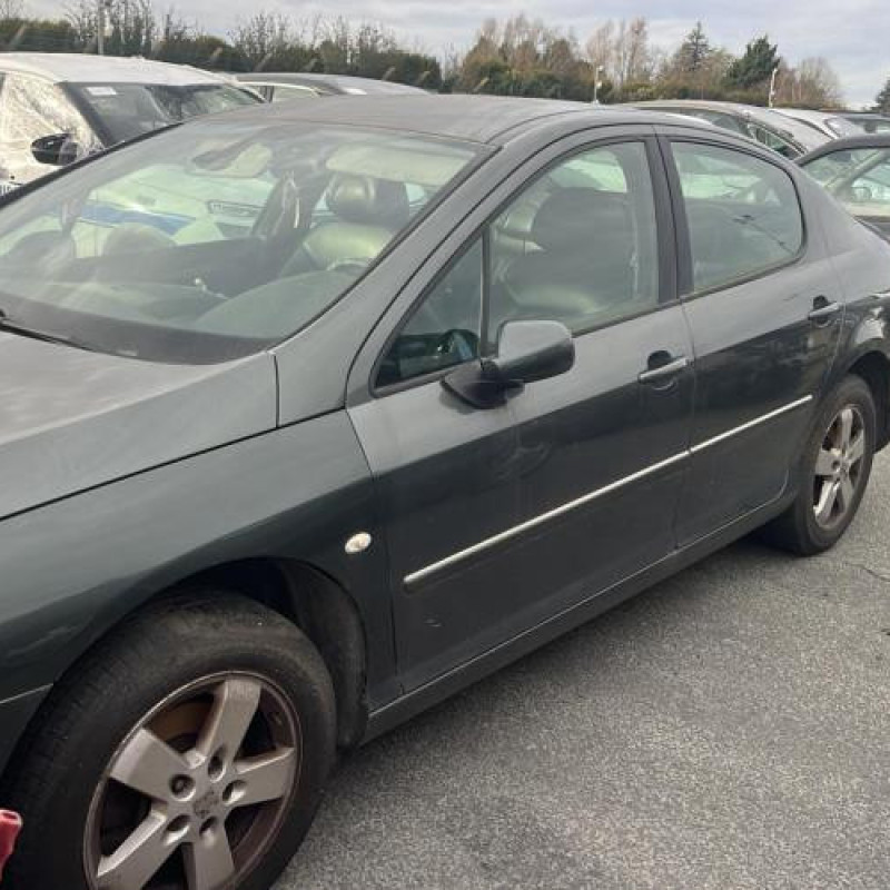 Porte arriere gauche PEUGEOT 407 Photo n°8