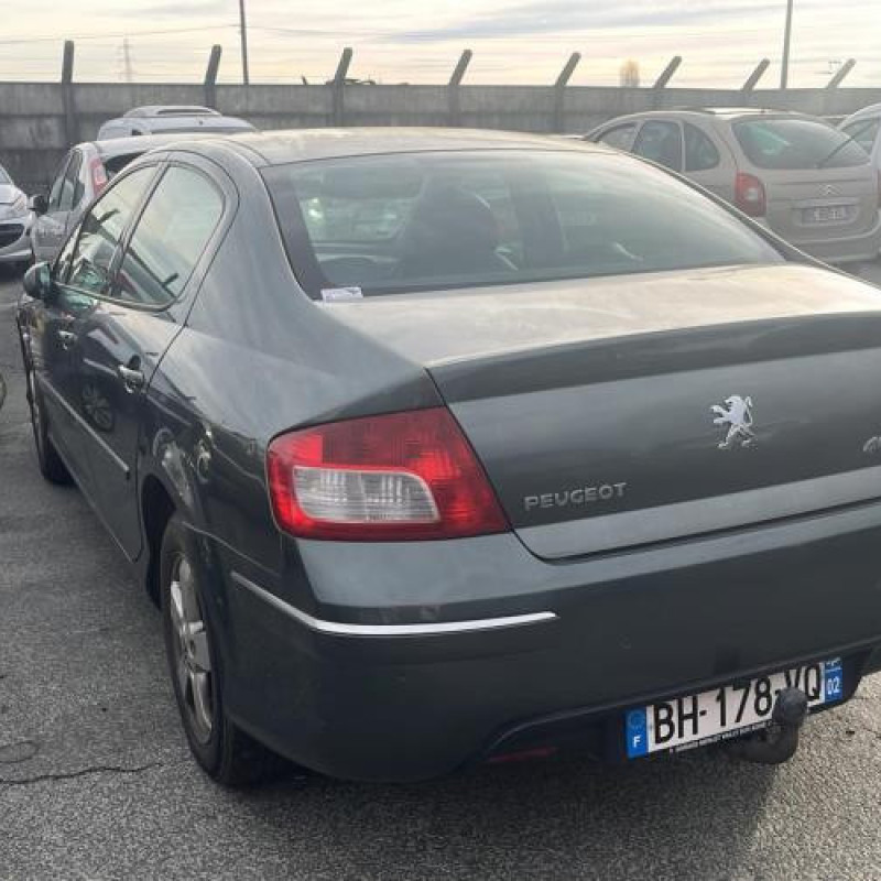 Porte arriere gauche PEUGEOT 407 Photo n°9