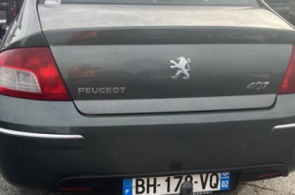 Porte arriere gauche PEUGEOT 407