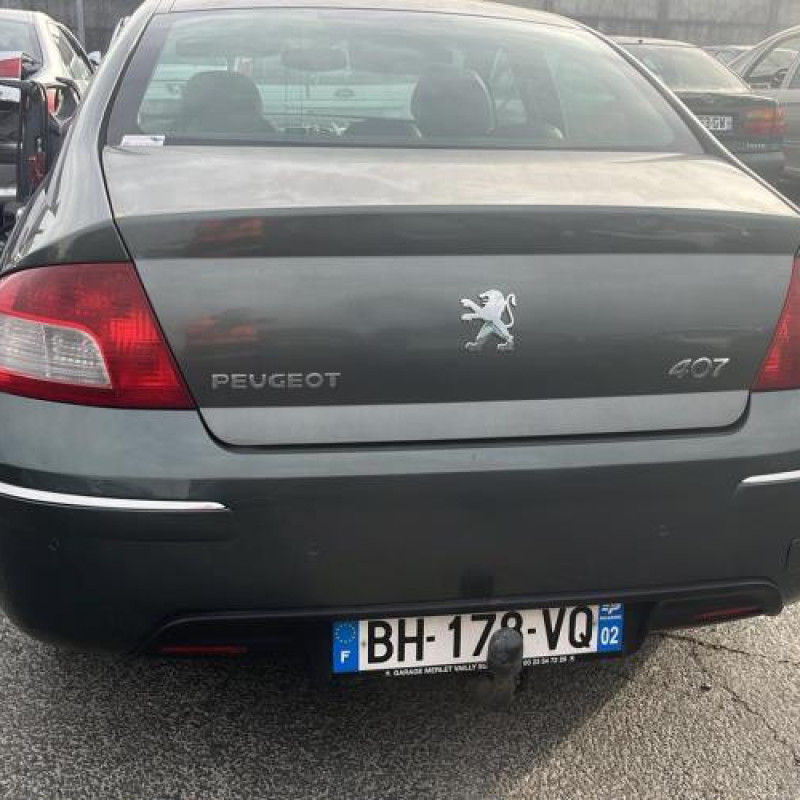 Porte arriere gauche PEUGEOT 407 Photo n°10