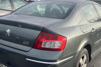 Porte arriere gauche PEUGEOT 407