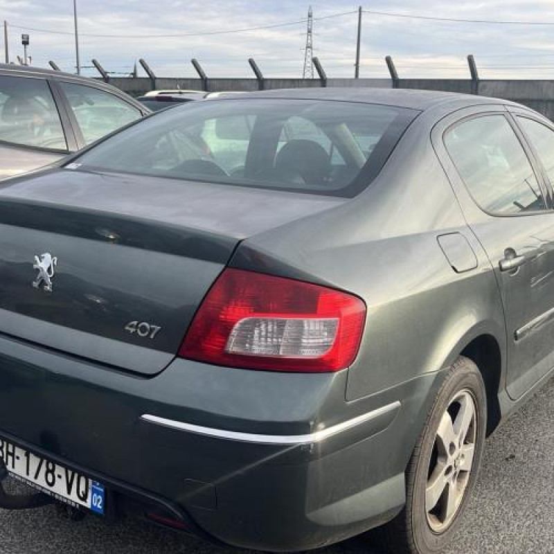 Porte arriere gauche PEUGEOT 407 Photo n°11