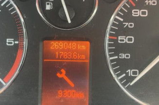 Porte arriere gauche PEUGEOT 407