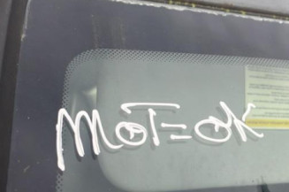 Porte arriere gauche PEUGEOT 407