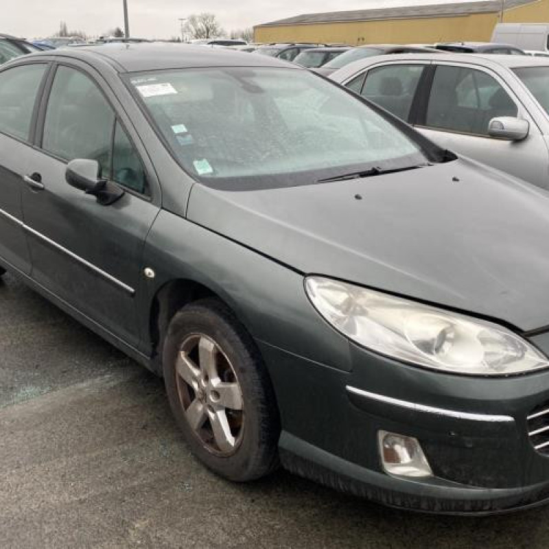 Porte arriere gauche PEUGEOT 407 Photo n°20
