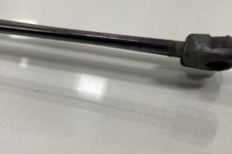 Verin de coffre VOLKSWAGEN TIGUAN 1