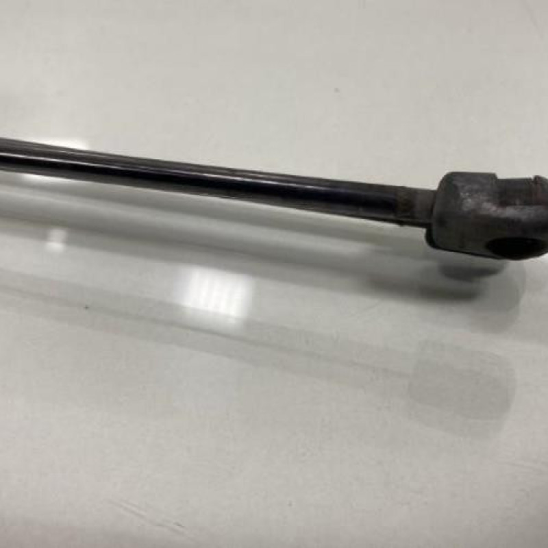 Verin de coffre VOLKSWAGEN TIGUAN 1 Photo n°3
