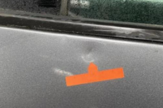 Porte arriere gauche VOLKSWAGEN TOURAN 1