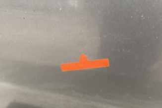 Porte arriere gauche VOLKSWAGEN TOURAN 1