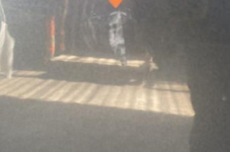 Porte arriere droit SKODA FABIA 1