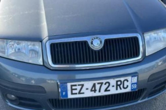 Porte arriere droit SKODA FABIA 1