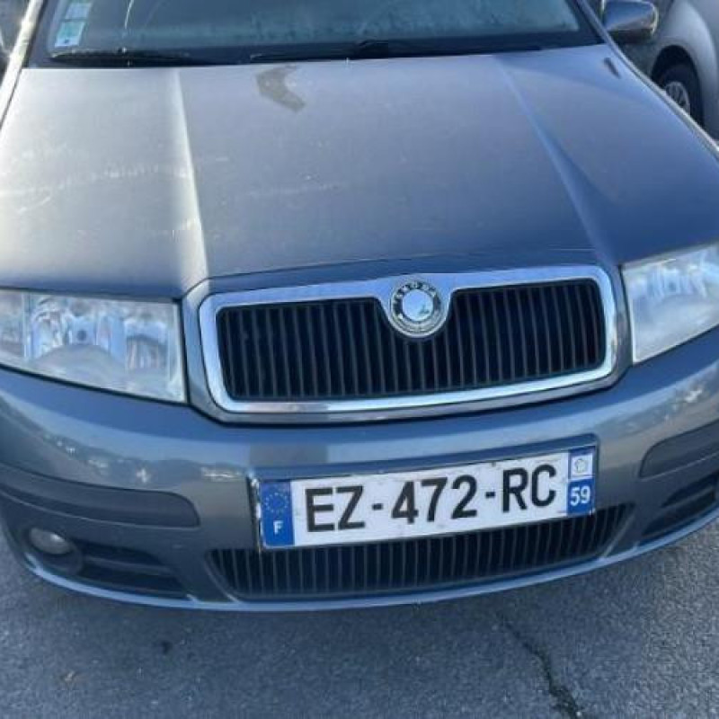 Porte arriere droit SKODA FABIA 1 Photo n°10