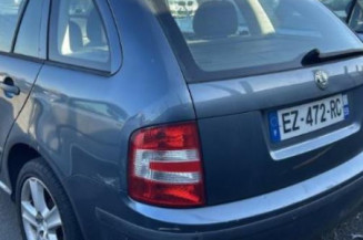 Porte arriere droit SKODA FABIA 1