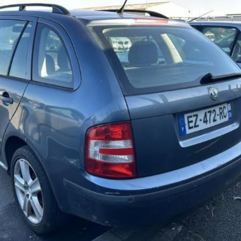Porte arriere droit SKODA FABIA 1 Photo n°14