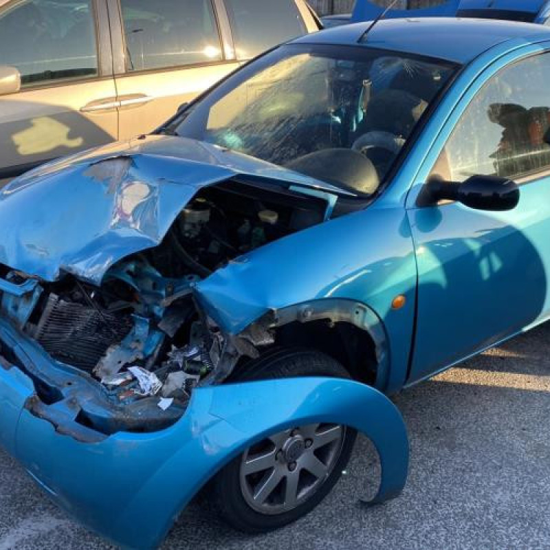 Porte avant gauche FORD KA 1 Photo n°10