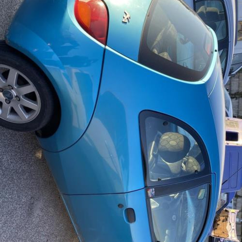 Porte avant gauche FORD KA 1 Photo n°15