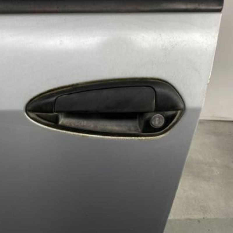 Porte avant gauche FIAT GRANDE PUNTO Photo n°2