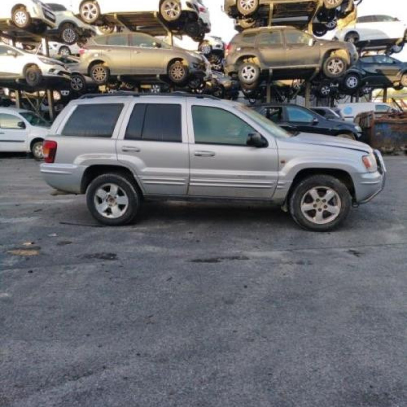 Porte avant droit JEEP GRAND CHEROKEE 1 Photo n°11
