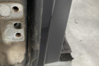 Porte arriere droit VOLKSWAGEN GOLF PLUS