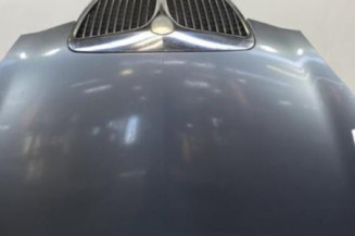 Capot LANCIA YPSILON 4 Photo n°1