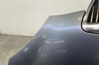Capot LANCIA YPSILON 4
