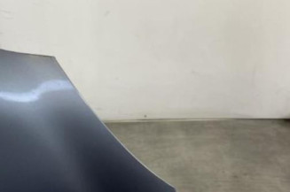 Capot LANCIA YPSILON 4