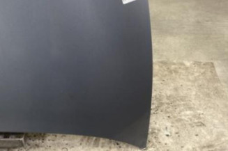 Capot LANCIA YPSILON 4