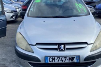 Jante PEUGEOT 307