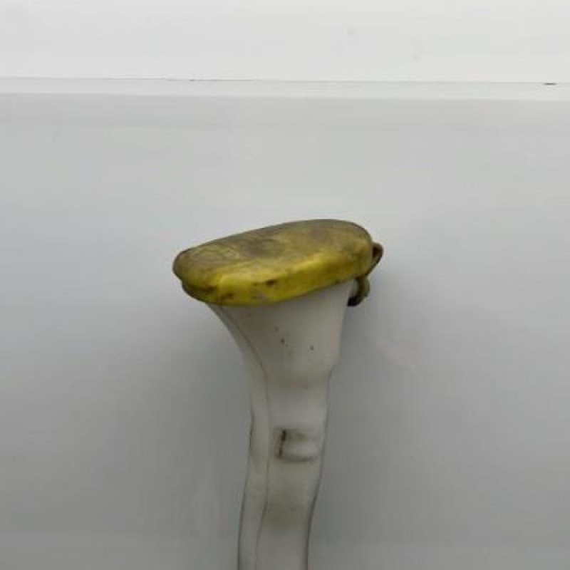 Vase d'expansion RENAULT TWINGO 2 Photo n°3