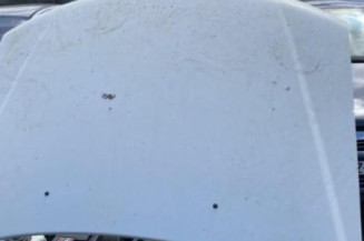 Pare soleil droit PEUGEOT 306