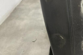 Porte avant gauche RENAULT MEGANE 2