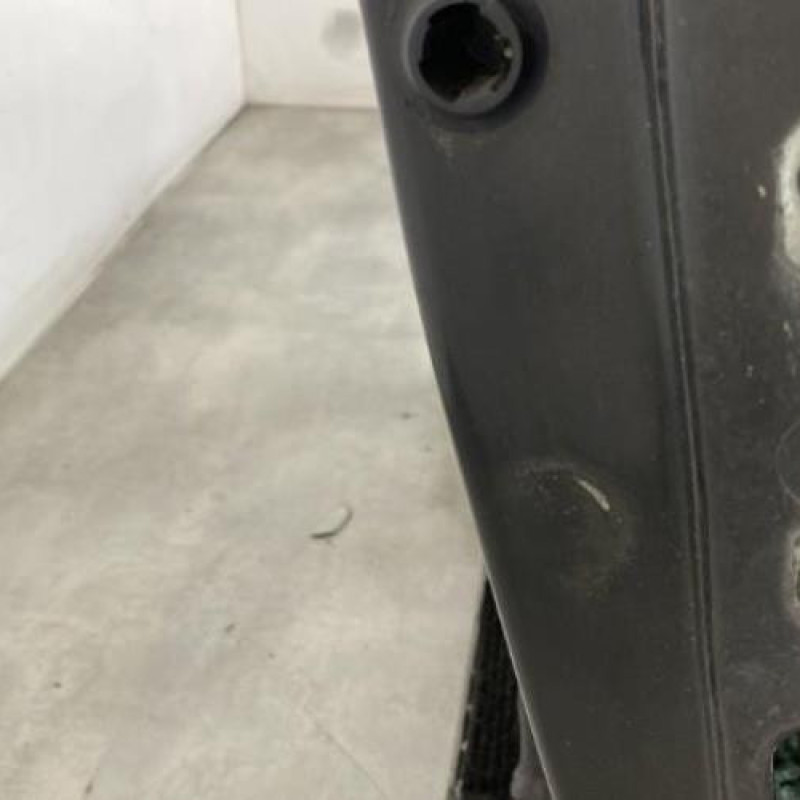 Porte avant gauche RENAULT MEGANE 2 Photo n°4