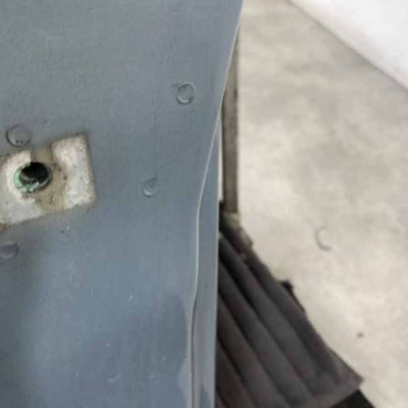 Porte avant droit SEAT IBIZA 3 Photo n°5