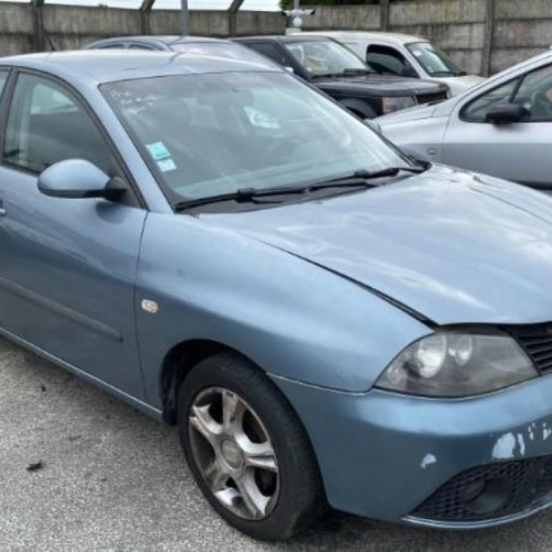 Porte avant droit SEAT IBIZA 3 Photo n°9