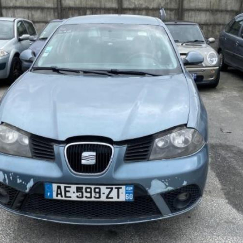Porte avant droit SEAT IBIZA 3 Photo n°13
