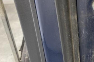 Porte arriere gauche RENAULT KOLEOS 1