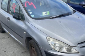 Afficheur PEUGEOT 307