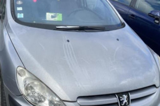 Afficheur PEUGEOT 307