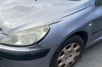 Afficheur PEUGEOT 307